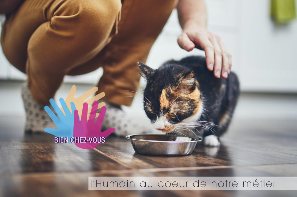 Prestations à domicile - Bien Chez-Vous - Gardiennage des animaux