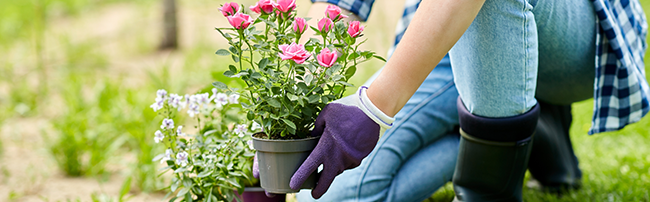 jardinagbien chez vous france